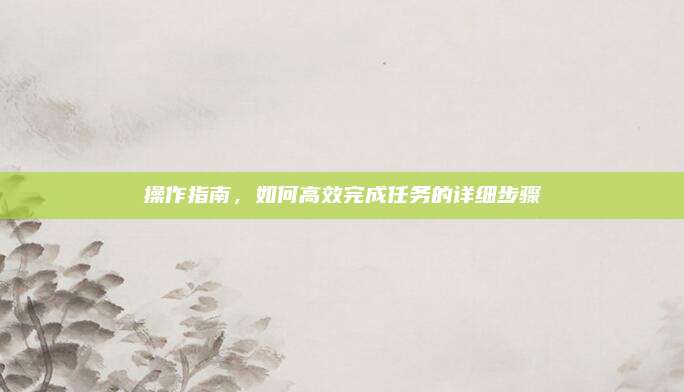 操作指南,如何高效完成任务的详细步骤