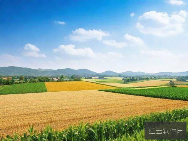 99品一、二、三产区区别解析,从游戏视角看品质差异