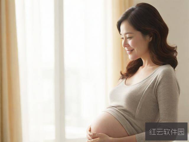 孕期完全指导,一部温馨感人的孕期指南电影免费观看指南