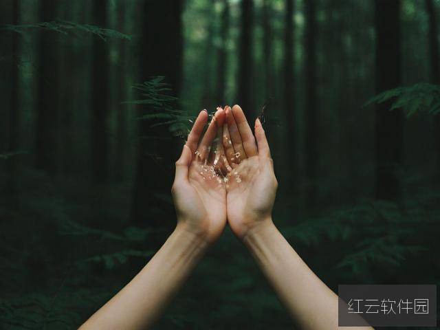 手不安分地探入森林,欲望、探索与隐秘的欢愉