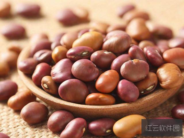麻豆产精国品，探索免费线上影视平台的五大核心亮点