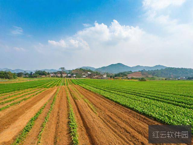 麻豆精产国品一二三产区,品质与文化的完美融合